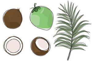 Set of hand drawn coconut vector