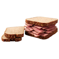 pastrami smörgås tunt skivad pastrami kryddad brun senap råg bröd kulinariska och mat begrepp slutlig png