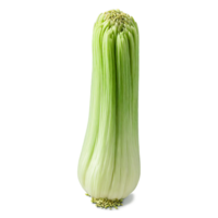 Whole fennel seeds pale green color elongated shape ridged texture Food and culinary concept png