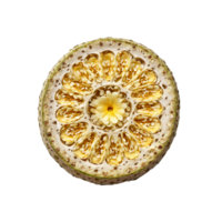 Lotus root with sliced rounds and lace like holes in dramatic bunch Food and culinary png
