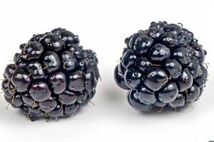 two juicy blackberries with water droplets, isolated on a white background photo