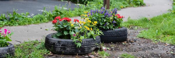 Transforming Summer Tires into Whimsical Planters photo