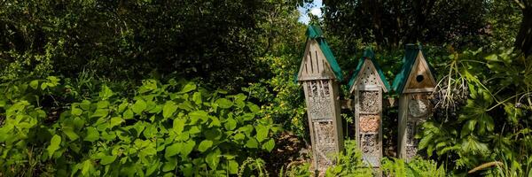 Rustic birdhouses nestled in lush greenery, exemplifying eco friendly gardening and nature conservation, ideal for Earth Day and International Biodiversity Day themes photo
