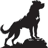 Dog silhouette set. Dog illustration vector