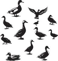 Duck silhouette on white background. duck flying illustration vector