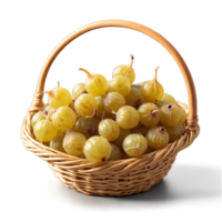Dried gooseberries in a playful wicker basket light green with a translucent quality a few png