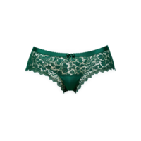 Green Lace Boyshorts A pair of green lace boyshorts with intricate lace detailing and a png