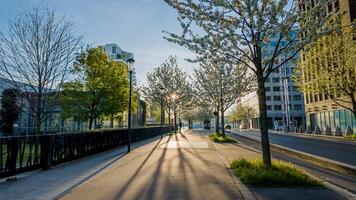 Urban spring morning scene with flowering trees and long shadows on an empty pedestrian pathway, depicting concepts of renewal and Earth Day photo