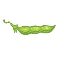 Green open soybean or pea pod cartoon style illustration. vector