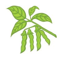 Branch of soybean or pea, bean with leaves and pods cartoon style illustration. vector