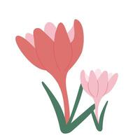 Beautiful red and pink flower isolated on white background. graphics. Artwork design element. Cartoon design for poster, icon, card, logo, label. vector
