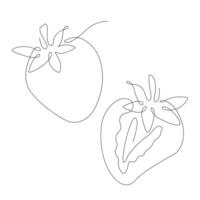 Strawberries in continuous line art drawing style. Half strawberry and whole strawberry minimalist black linear sketch isolated on white background. illustration vector