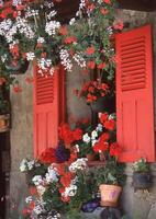 a window with red shutters photo