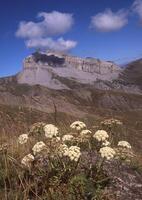 un montaña con nubes en el cielo foto