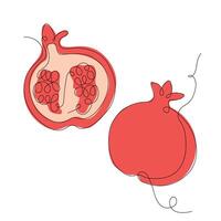 Pomegranate in continuous line art drawing style. Half pomegranate and whole pomegranate minimalist black linear sketch with colored spots isolated on white background. illustration vector