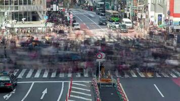 Shibuya district crosswalk time lapse 4k background video