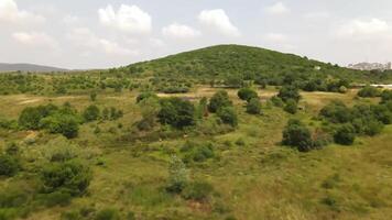 Hill covered with trees and vegetation from above 4k background video