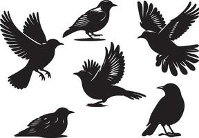 birds set black, white background vector