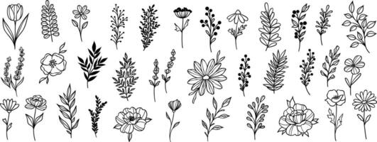 Plant illustration set, flowers and leaves clip art, hand drawn line art sketches, modern isolated doodle collection vector