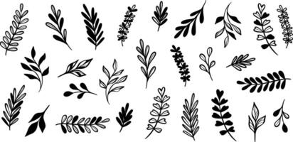 Leaf set, hand drawn leaves, plant doodles isolated collection vector