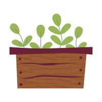 drawing of cute box with seedlings. Healthy grass in wooden box. illustration. Gardening, plants. Colored illustration. Cartoon design for poster, icon, card, logo, label vector