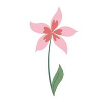 Beautiful light pink flower isolated on white background. graphics. Artwork design element. Cartoon design for poster, icon, card, logo, label. vector