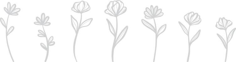 Elegant artistic flower illustration, minimalist hand drawn botanical element set vector