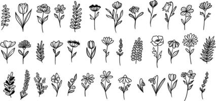 Flower and leaves, plant illustration set, clip art elements, isolated vector