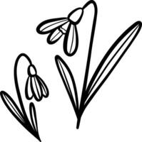 Snowdrops, spring flower line art illustration, hand drawn doodle set, isolated vector