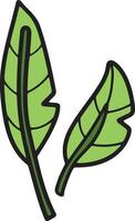 A leafy plant with a black outline vector