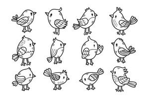 A set of twelve birds with their wings spread out vector