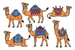 A set of black and white drawings of camels with different colored blankets vector