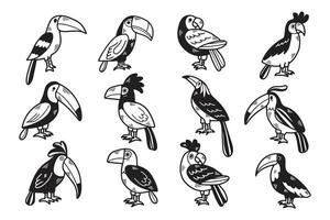 A set of twelve birds with different colors and sizes vector