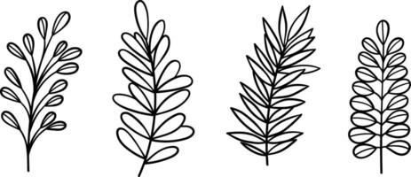 Line art leaves, hand drawn leaf decorative elements, isolated clip art illsutration set vector