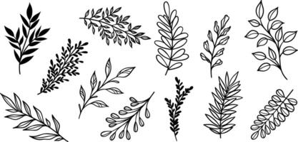 Leaf illustration set, line art leaves scattered doodle collection vector