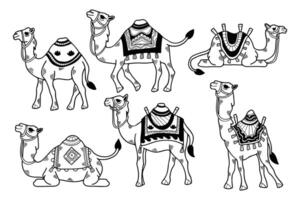 A set of black and white drawings of camels with different colored blankets vector