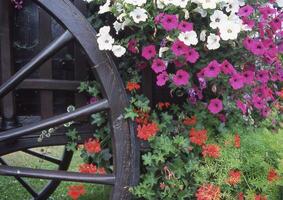 a wagon with flowers on it photo