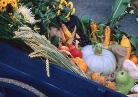 un azul vagón lleno con varios frutas y vegetales foto