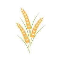 Agriculture wheat logo template and symbol vector