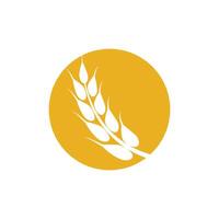 Agriculture wheat logo template and symbol vector