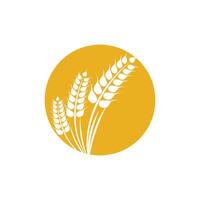 Agriculture wheat logo template and symbol vector