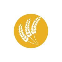 Agriculture wheat logo template and symbol vector