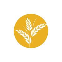 Agriculture wheat logo template and symbol vector