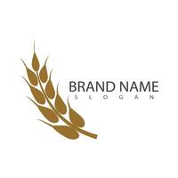 Agriculture wheat logo template and symbol vector