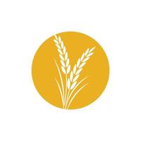 Agriculture wheat logo template and symbol vector