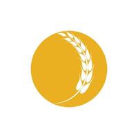 Agriculture wheat logo template and symbol vector