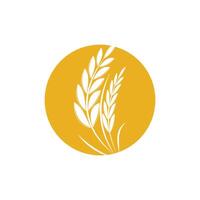 agricultura trigo logo modelo y símbolo vector