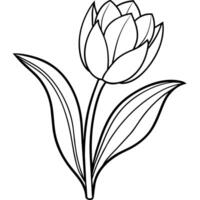 Tulip Flower outline illustration coloring book page design, Tulip Flower black and white line art drawing coloring book pages for children and adults vector