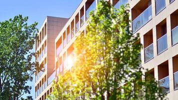 Eco architecture. Green tree and new residential building. Harmony of nature and modernity. Modern apartment building with new apartments in a green residential area. photo