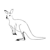 Kangaroo Silhouette flat illustration. vector